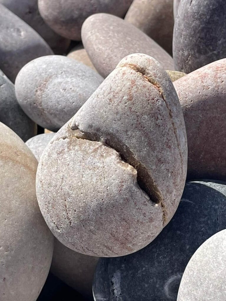A pebble which looks like a shark head found on Budleigh Salterton beach